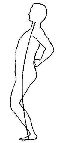  Линия, наложенная на фигуру, показывает правильную арку, или изгиб тела. Цен-тральная точка плеч находится прямо над центральной точкой ступней, и линия, соеди-няющая эти точки, является почти идеальной аркой, проходящей через центральную точку бедер.